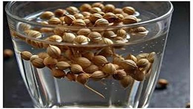 Coriander Water Benefits
