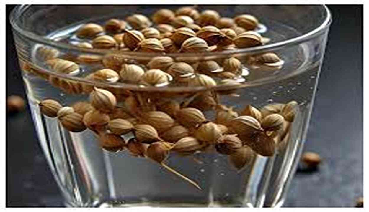 Coriander Water Benefits
