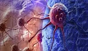 Treating cancer with bacteria