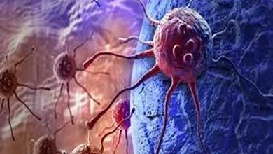 Treating cancer with bacteria