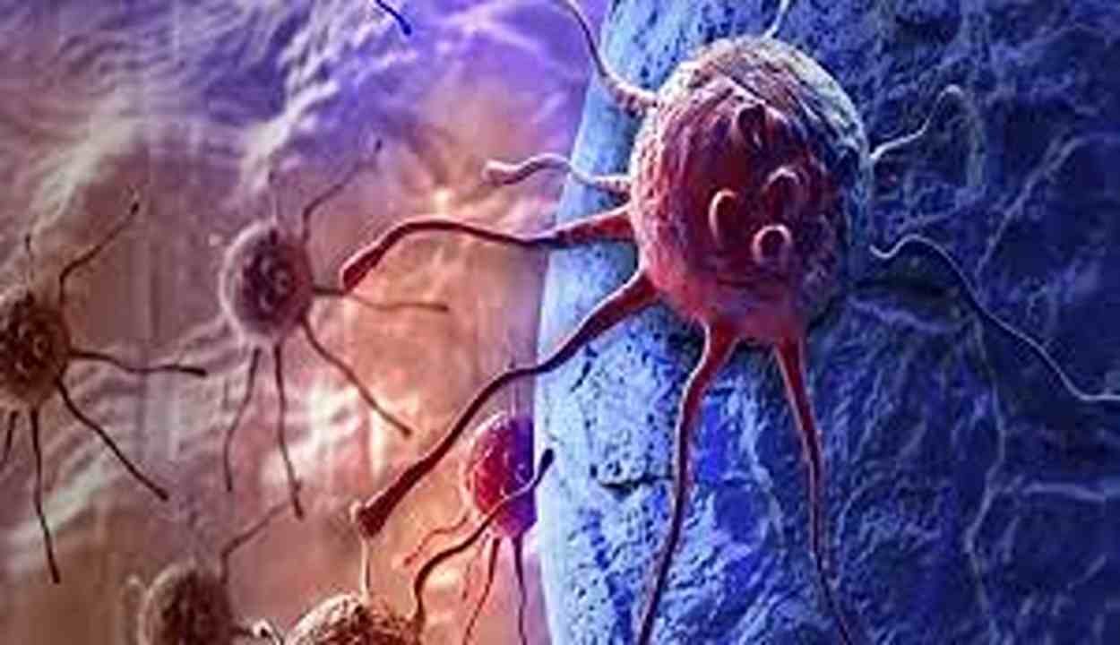 Treating cancer with bacteria