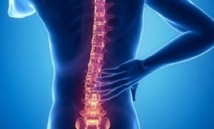 lower back spine pain