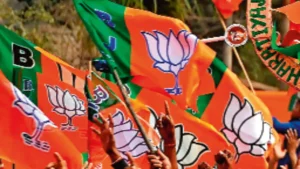 BJP Political Strategy