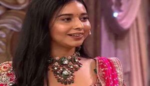 Bigg Boss 19 Tanya Mittal