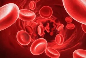 Hemoglobin Booster Shake