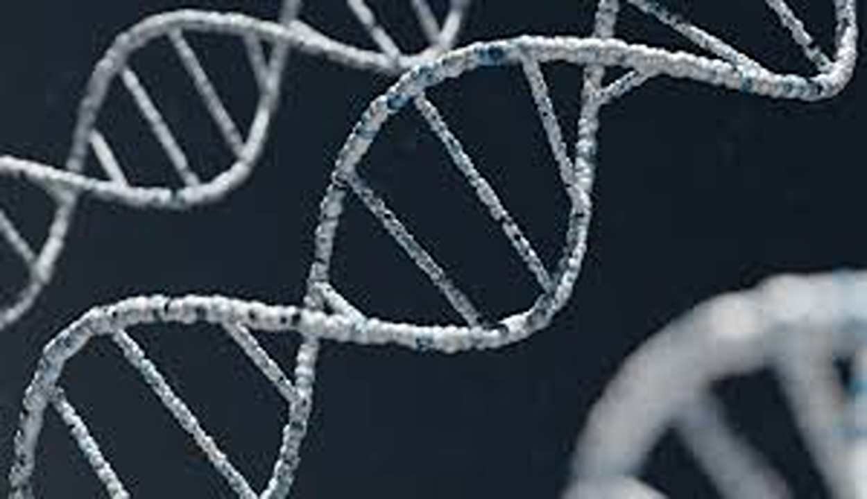 Justice through DNA Testing