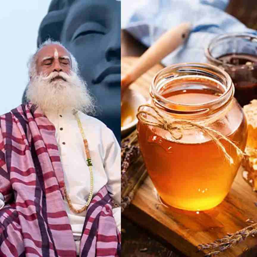 Natural Immunity Boosters