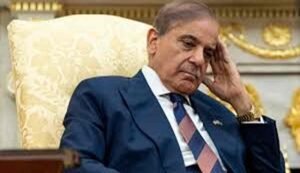 Pakistan Privatization Economic Crisis