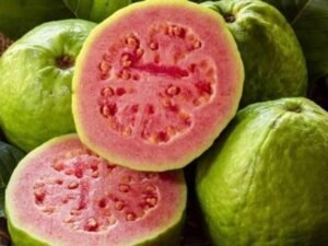 Roasted Guava Benefits