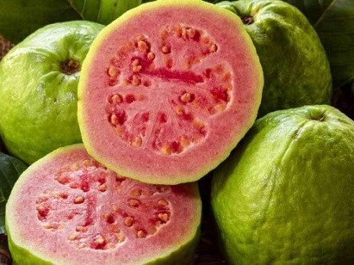 Roasted Guava Benefits