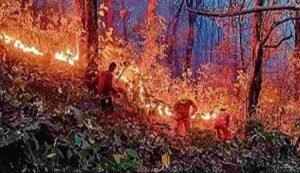 Uttarakhand Forest Fire Crisis