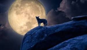 Astrological Significance of Wolf Moon 2026