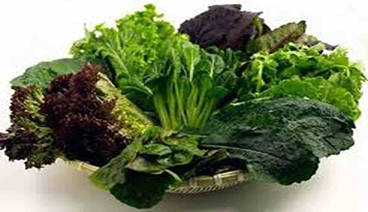 Benefits of Leafy Vegetables