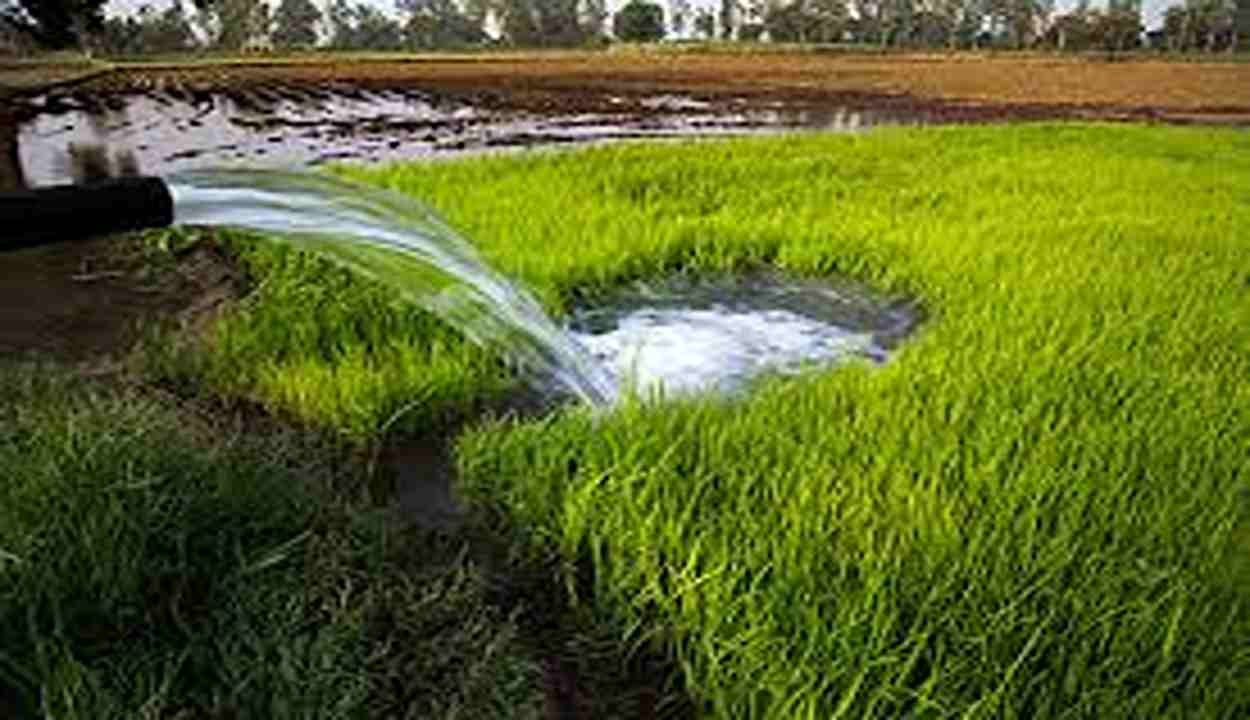Bihar Groundwater Nitrate Contamination 2026