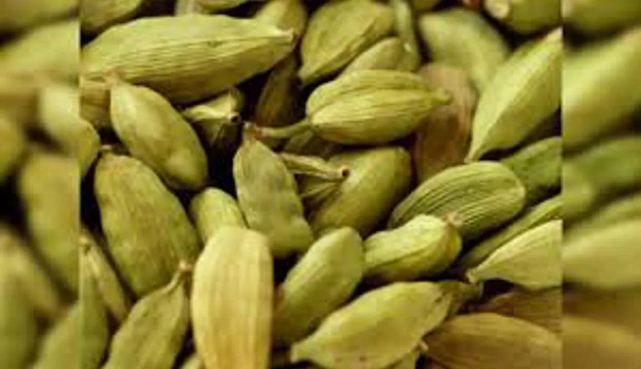 Cardamom Capital of South India