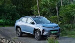 Electric Car Sales Trends India