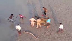 Fatehpur Honor Killing Case Details