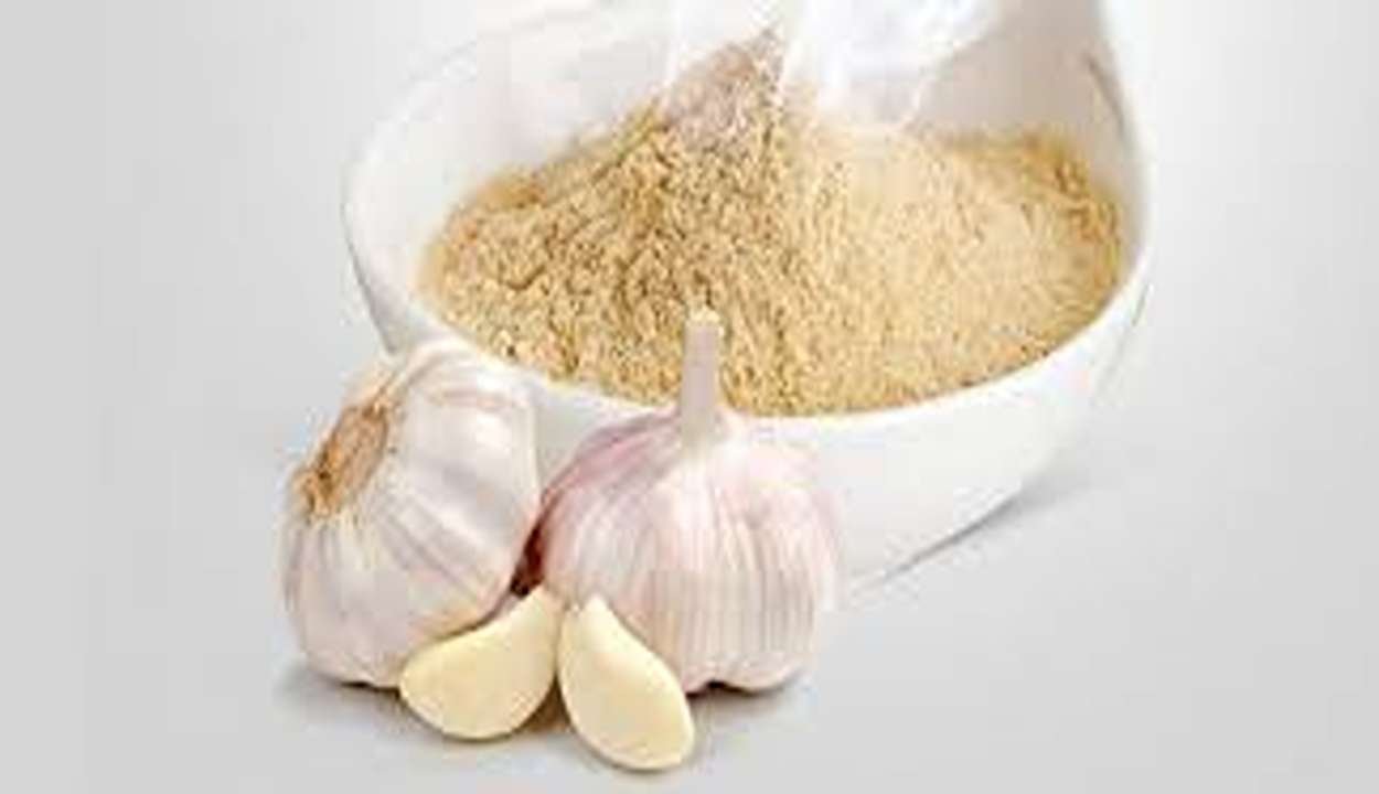 Garlic-Powder-Making-Guide-2026