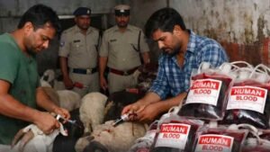 Hyderabad Animal Blood Scam Discovery