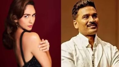 Mrunal and Dhanush Wedding Rumors