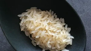 Plastic Rice Identification