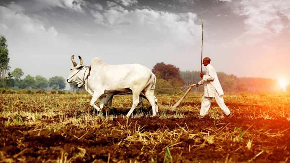 Uttarakhand Farmer Suicide Controversy