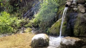 World Bank Uttarakhand Water Project 2026