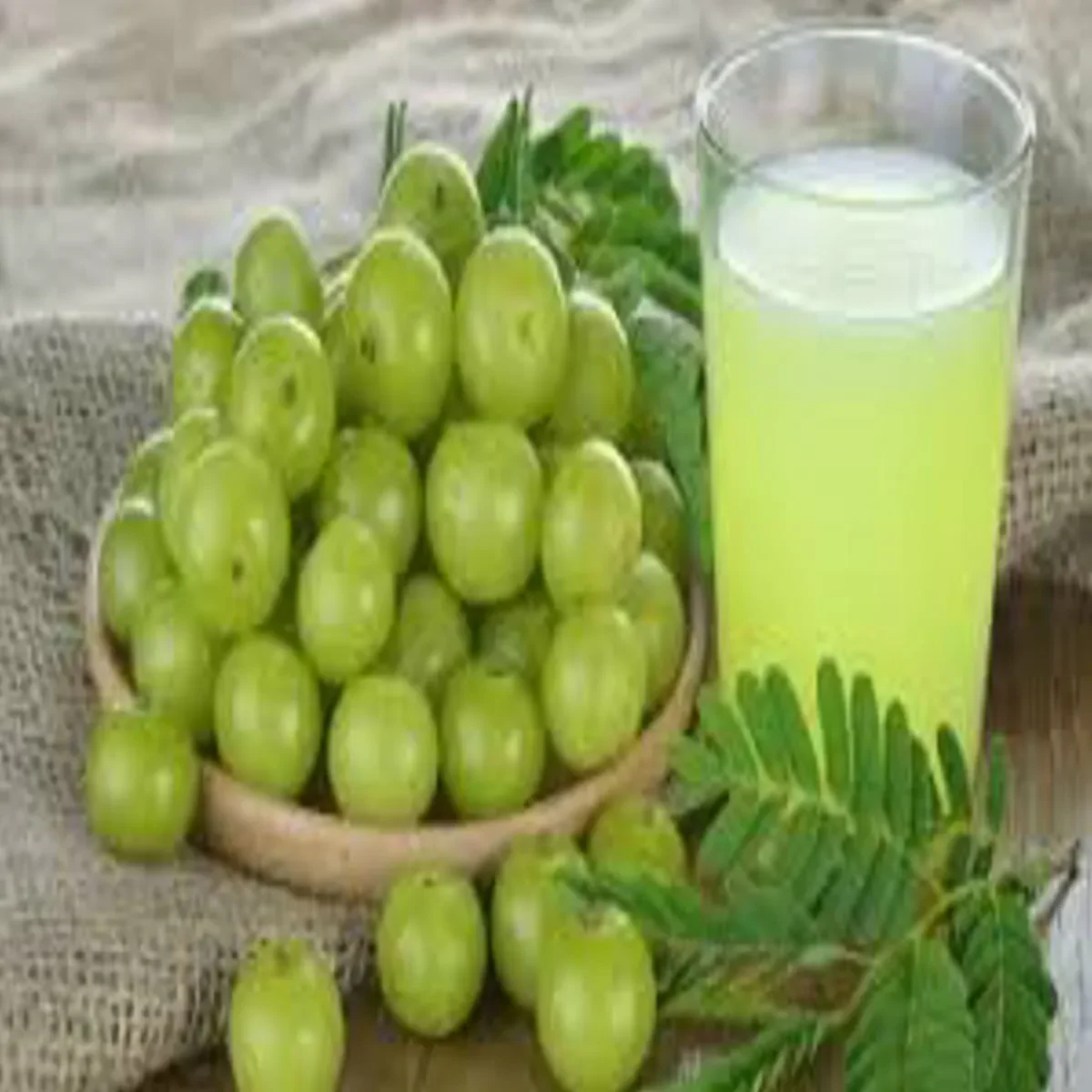 Amla Storage Tips: ताजे आंवले को साल भर सुरक्षित रखने का बेहतरीन तरीका, महीनों तक नहीं खोएगी इसकी ताजगी