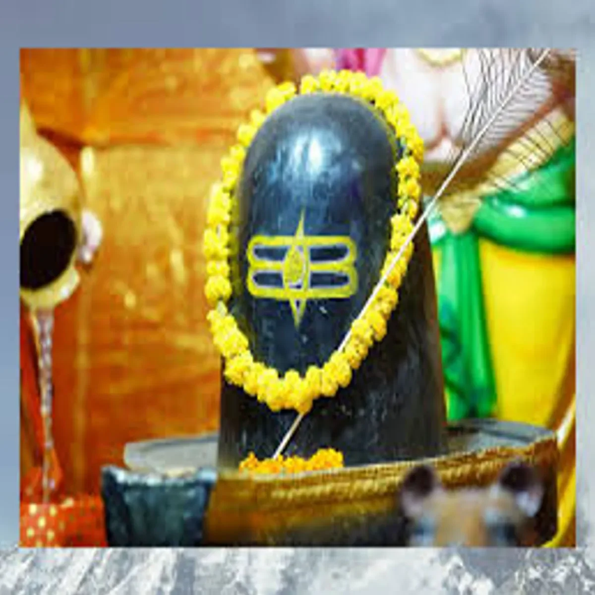 Shukra Pradosh Vrat: शुक्र प्रदोष व्रत पर बन रहा है दुर्लभ संयोग, इन विशेष उपायों से संवरेगा आपका दांपत्य जीवन