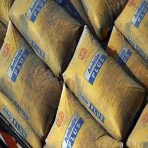 ambuja cements sanghi merger nclt approval