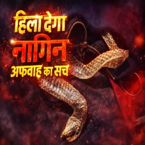 auraiya nagin rumor truth