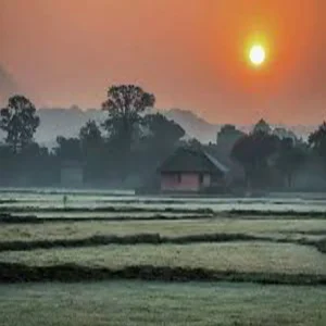 bihar february weather update
