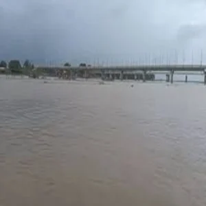 Heatwavealert Heatwavealert Phagun Men Gnga Jlstr