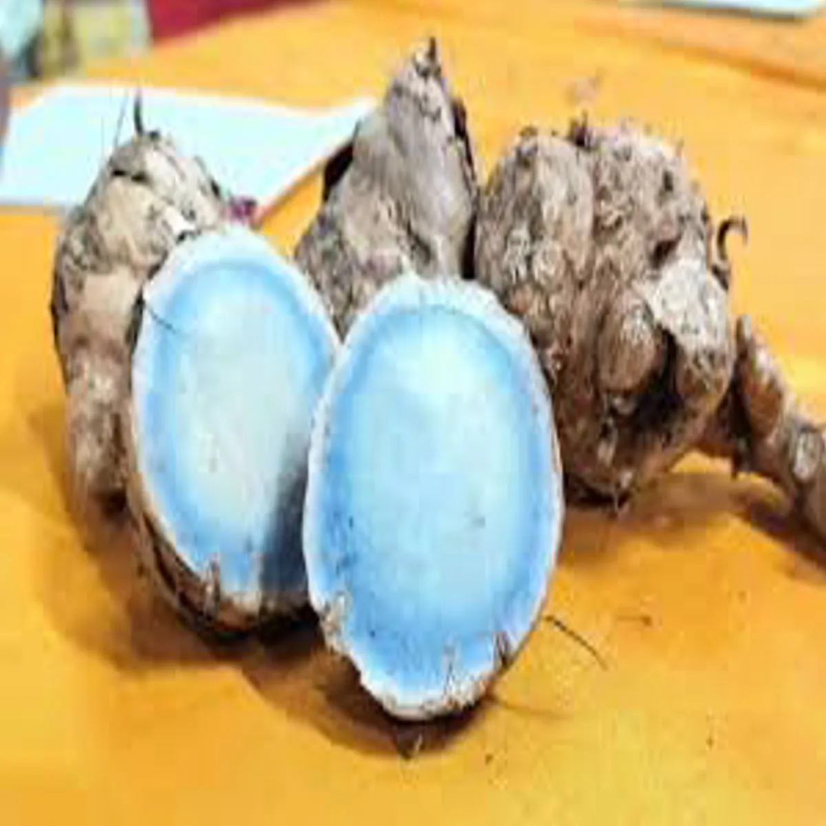 Blueturmeric Blueturmeric Kudrt Anmol Tohpha Aayurved