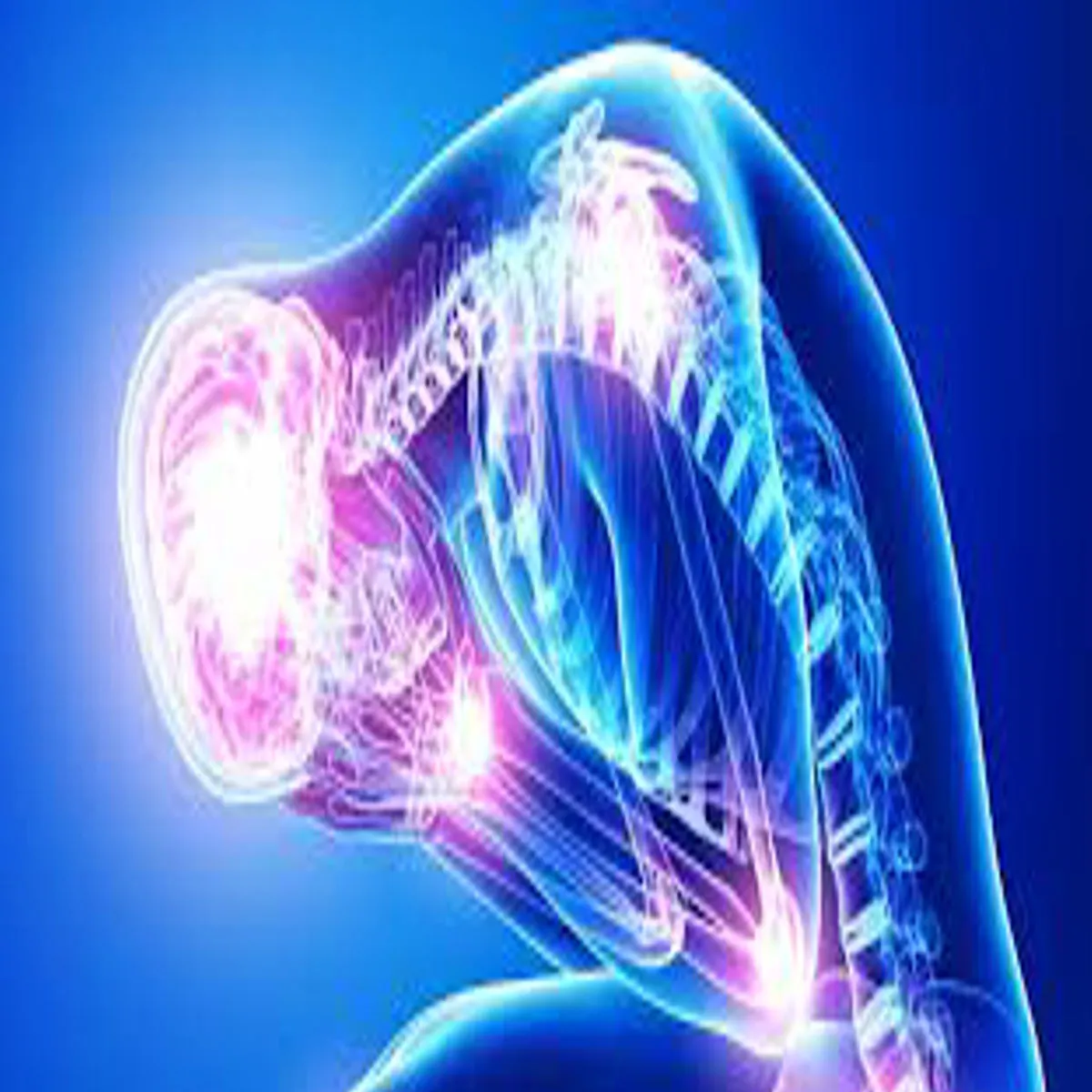 Stresshealthrisk Stresshealthrisk Tnav Bna Rha Shrir