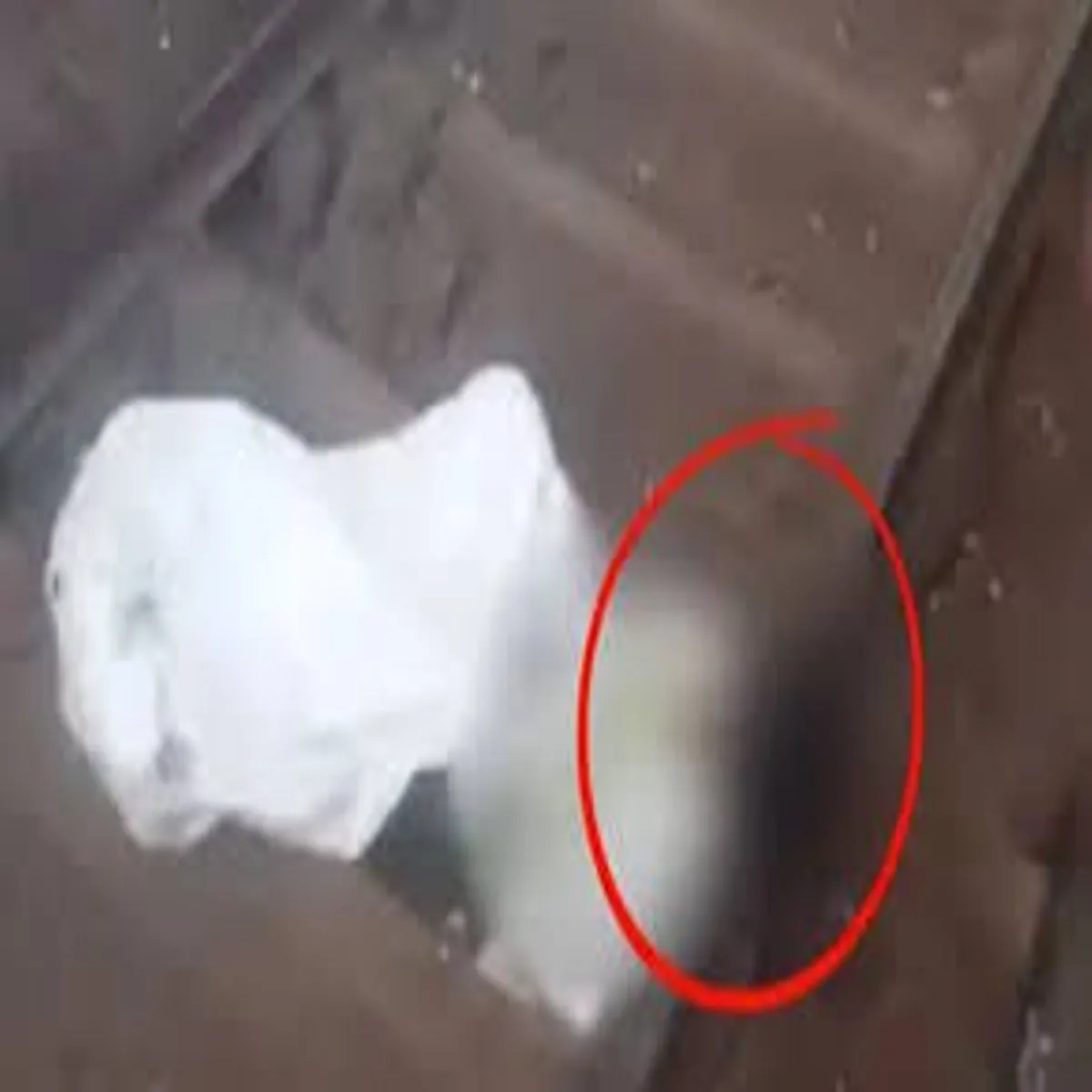 Csmtincident Csmtincident Nshe Men Ptri Sota