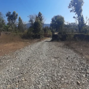 dehradun dholas land allotment probe