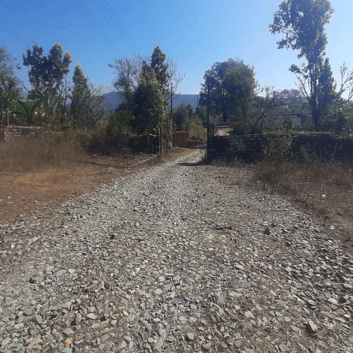 dehradun dholas land allotment probe