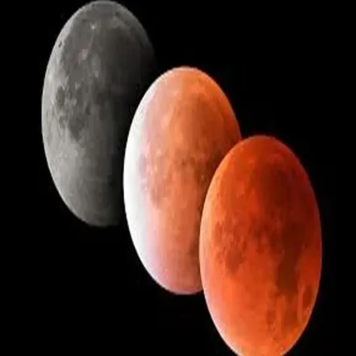Lunareclipse Lunareclipse Phalgun Purima Rashi Anusar