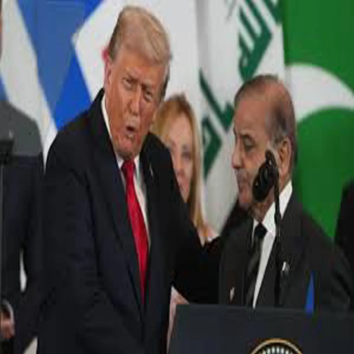 Gazapeaceboard Gazapeaceboard Amerika Men Hone Rhi