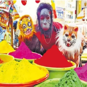 holi colours purity safety check
