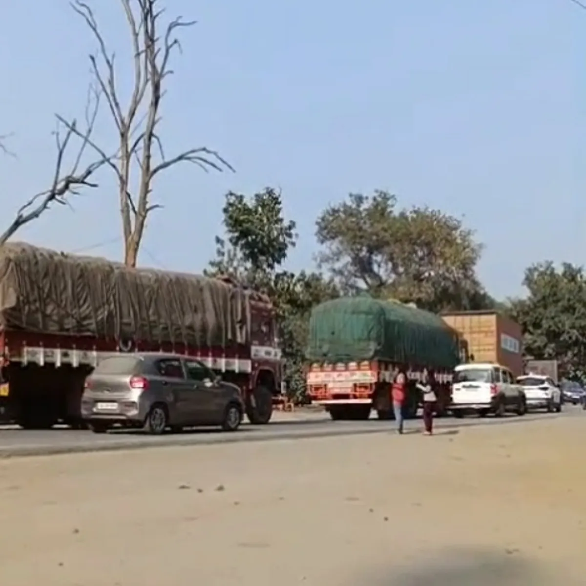 Koderma - – - प्रतिबंधित - मवेशी - का - सिर - मिलने - पर