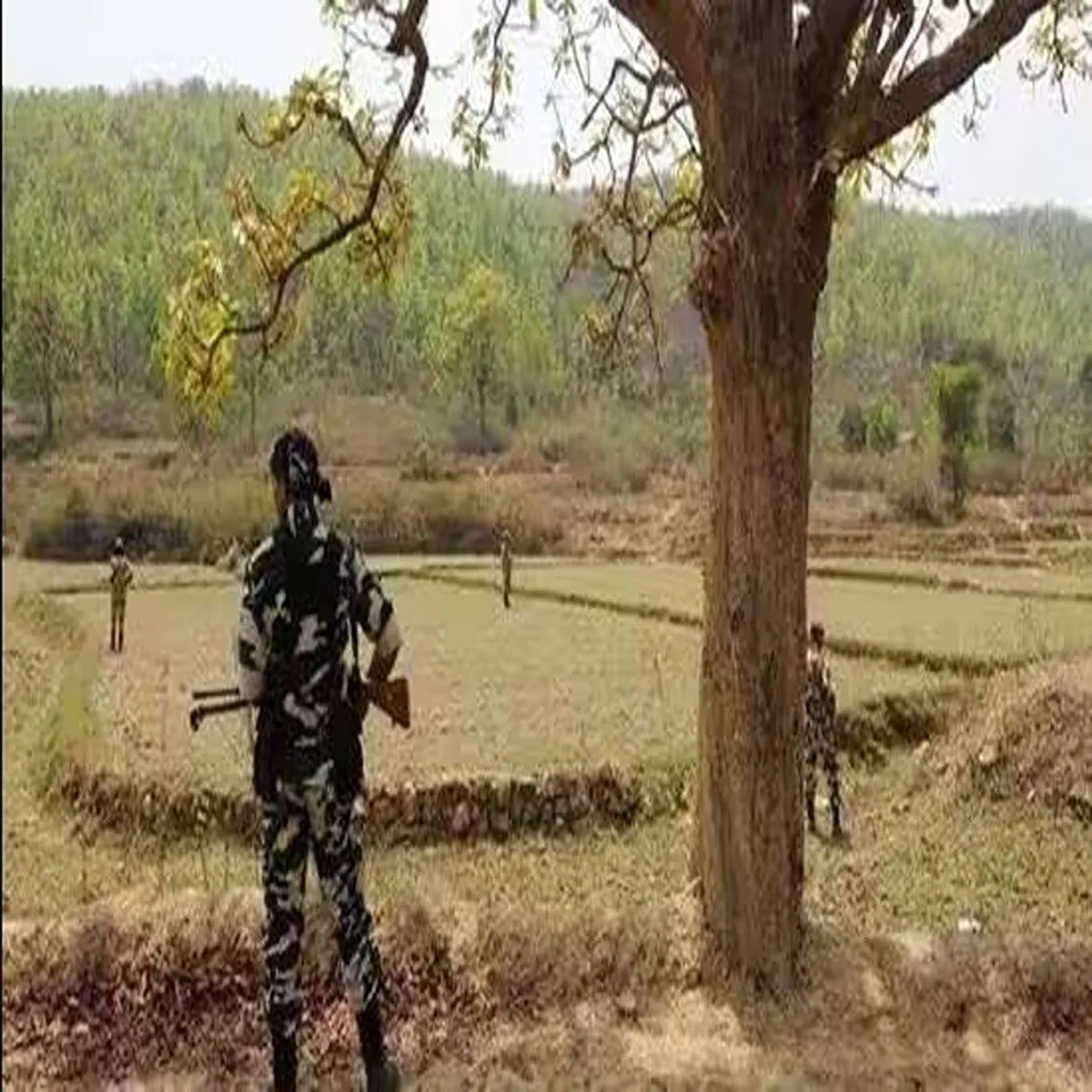 Landallotment Landallotment Shhid Sainikon Prijnon Jmin