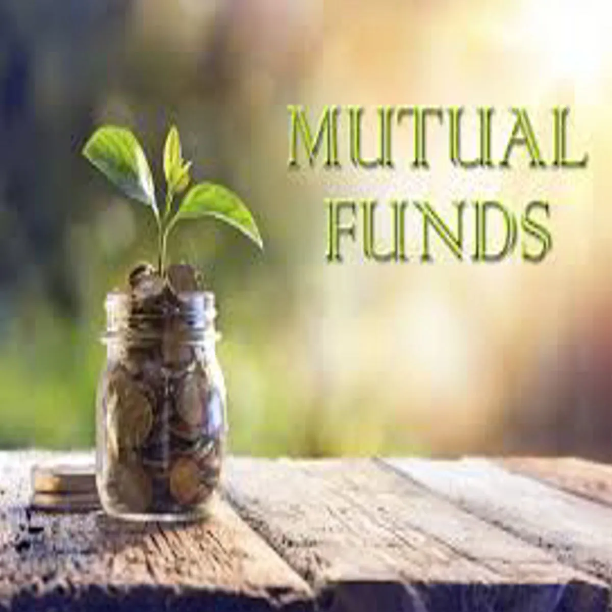 Mutualfunds Mutualfunds Phrvri Men Tin Sal