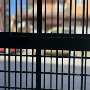 phulwari patna released criminal shot dead