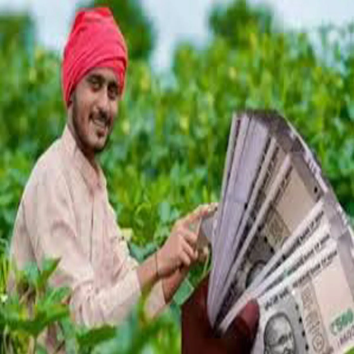 Pmkisan Pmkisan 22vin Kist Intjar Sat