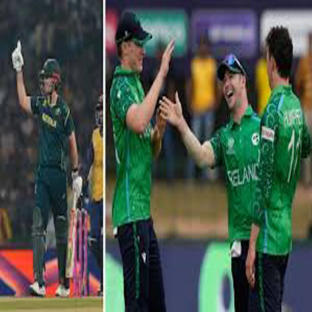 T20worldcup T20worldcup Supr Daud Men Streliya