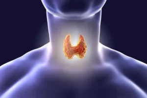 Thyroid - – - बढ़ते - मामलों - के - पीछे - छुपे - कारणों
