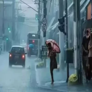 bihar rain thunderstorm alert multiple districts warning