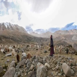 china villages near arunachal lac border